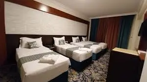 فندق منازل الفلاح الذهبى