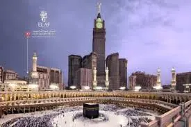 الصورة 4 من 11