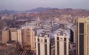 الصورة 2 من 7