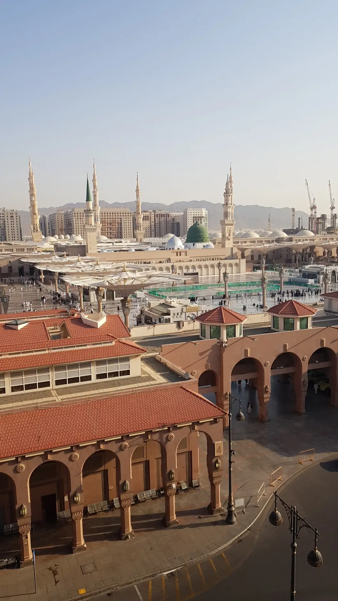 الصورة 4 من 8