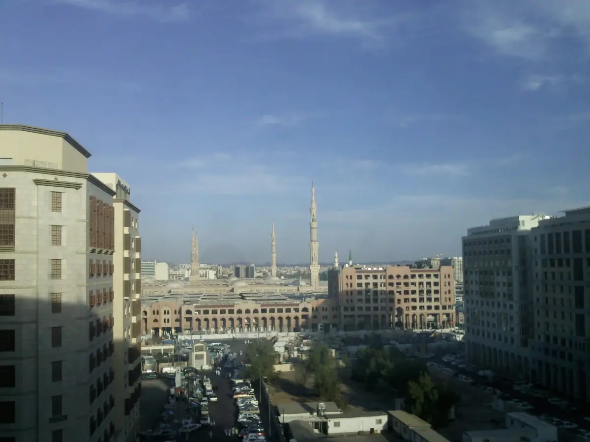 الصورة 4 من 8