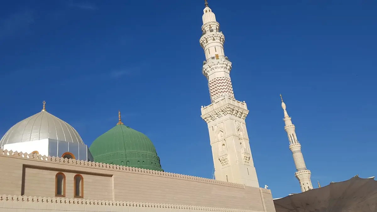 الصورة 1 من 8