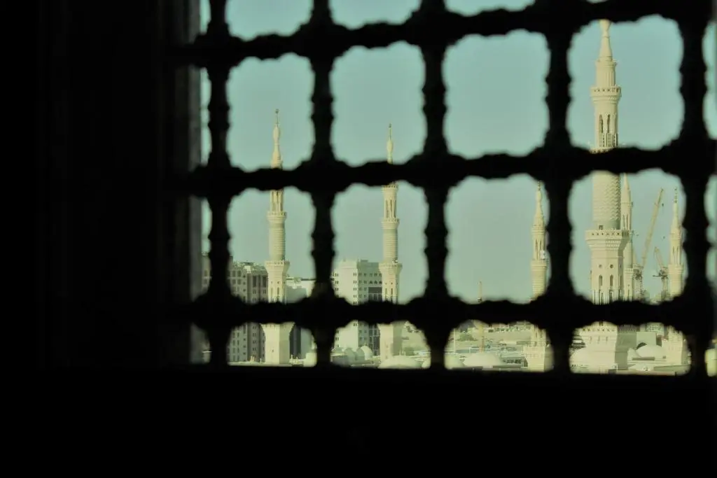 الصورة 5 من 8