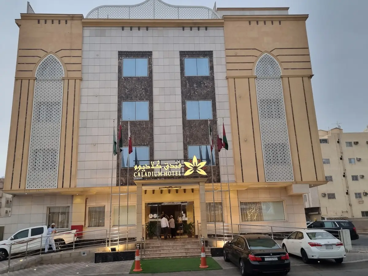الصورة 3 من 8