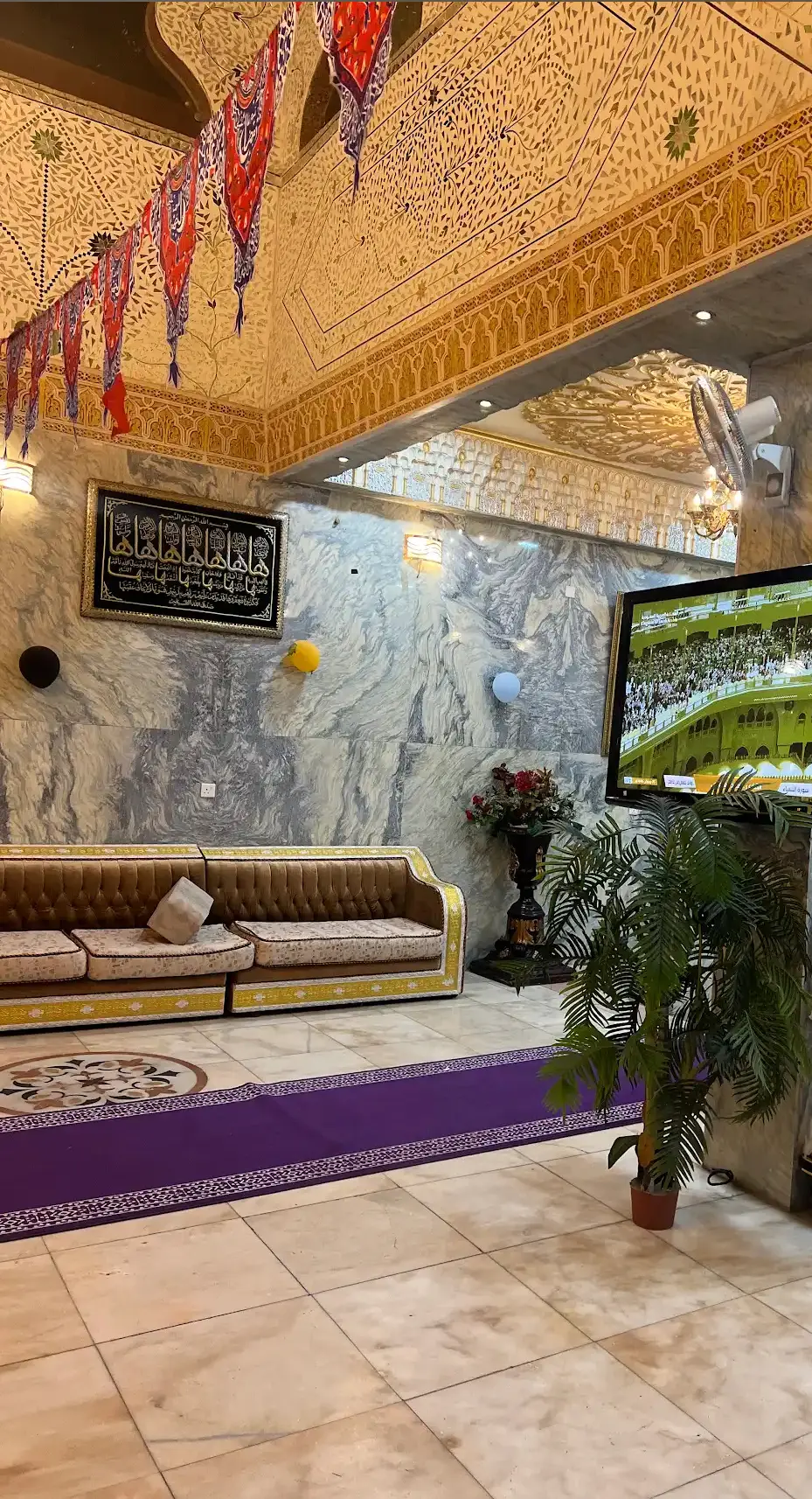 الصورة 6 من 8