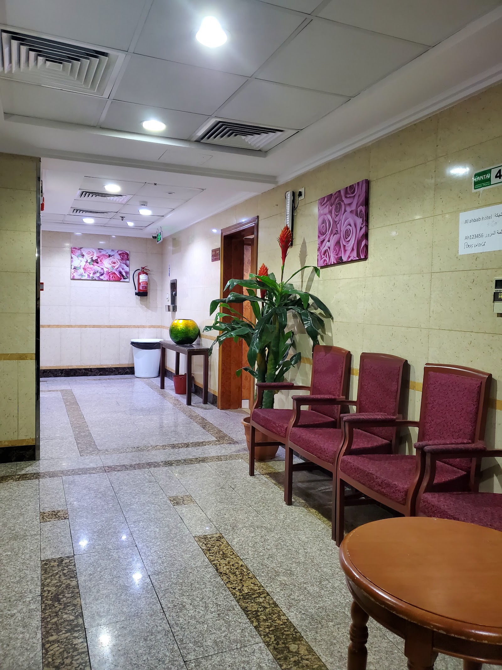 Image 5 of 8