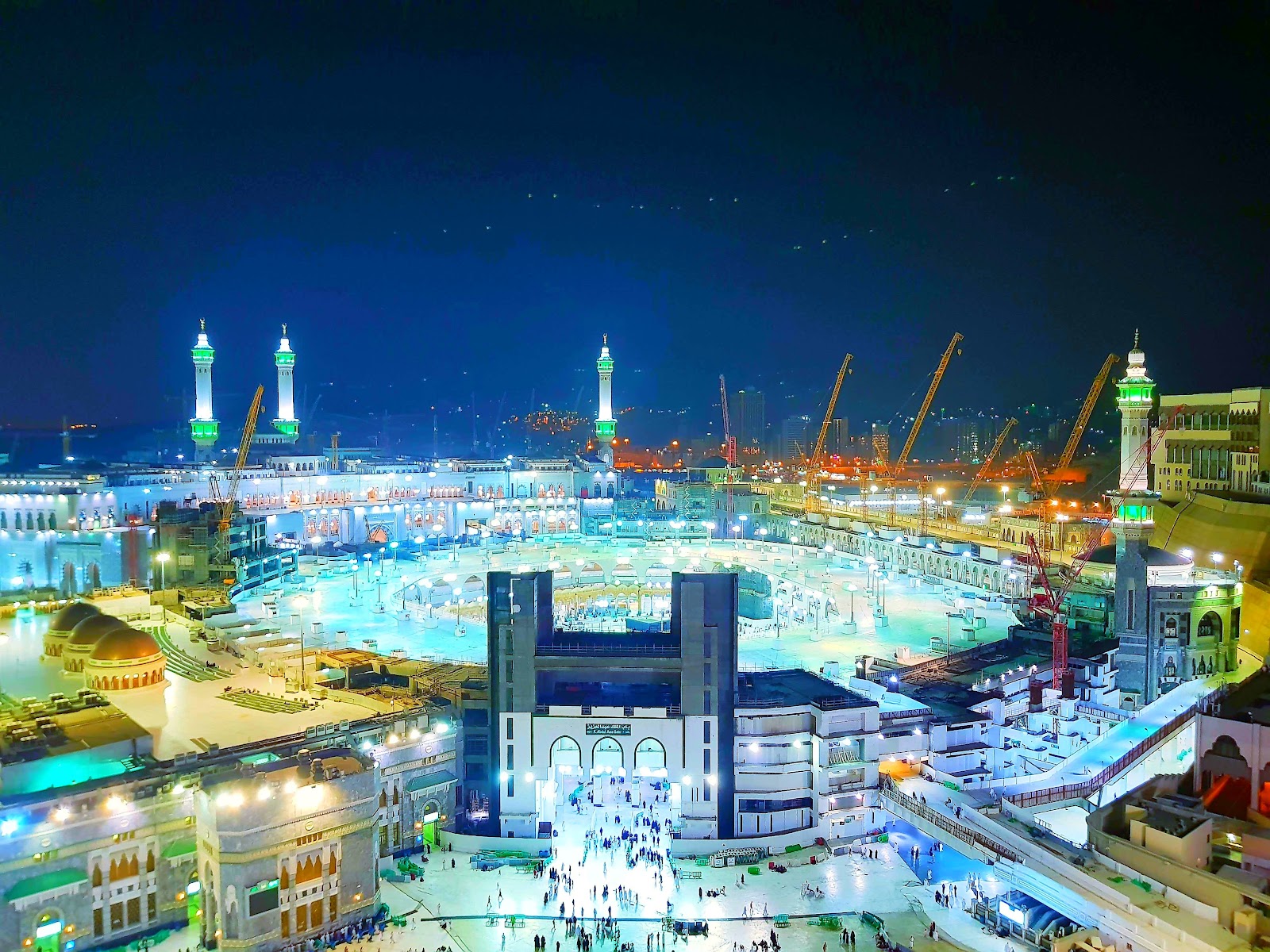 الصورة 1 من 8