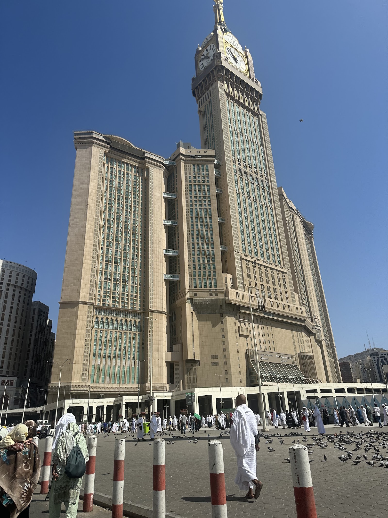 الصورة 4 من 8