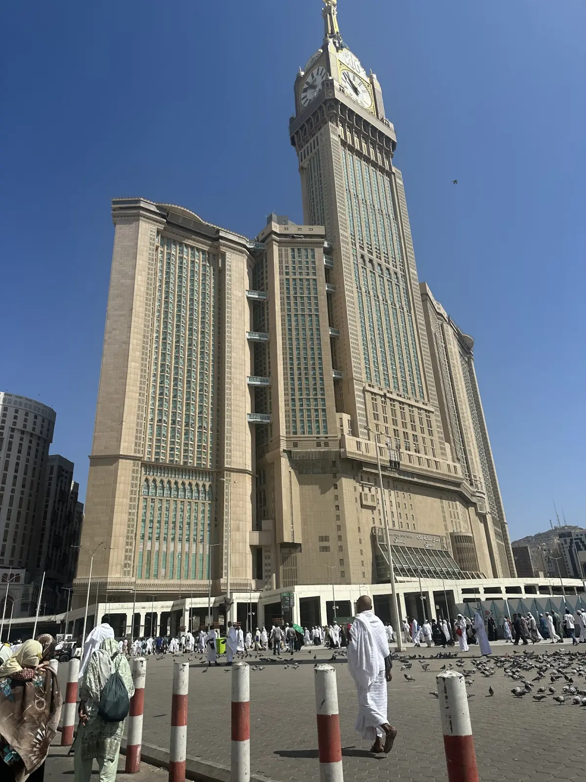 الصورة 4 من 8
