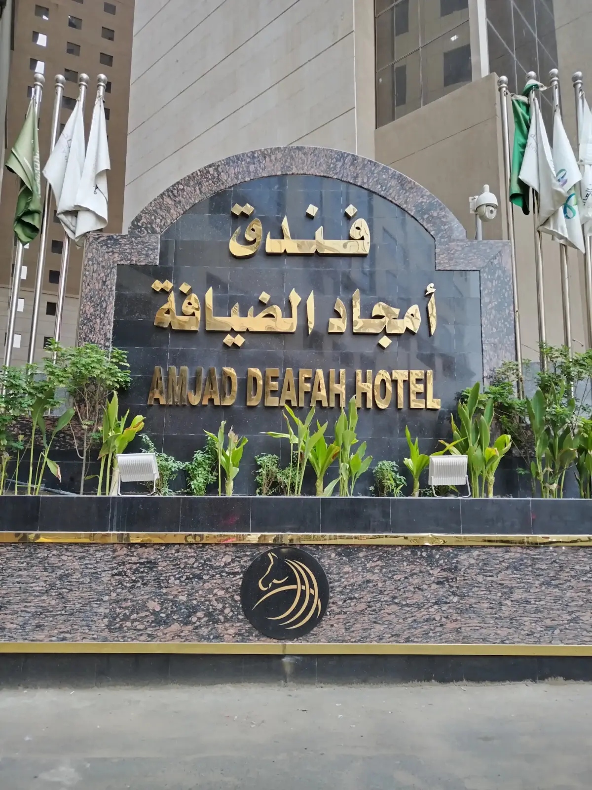 الصورة 4 من 8