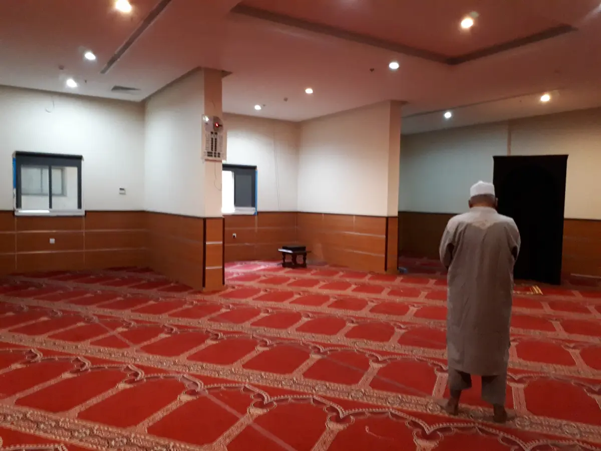 الصورة 5 من 8