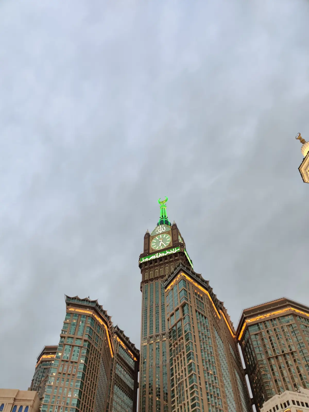 الصورة 6 من 8