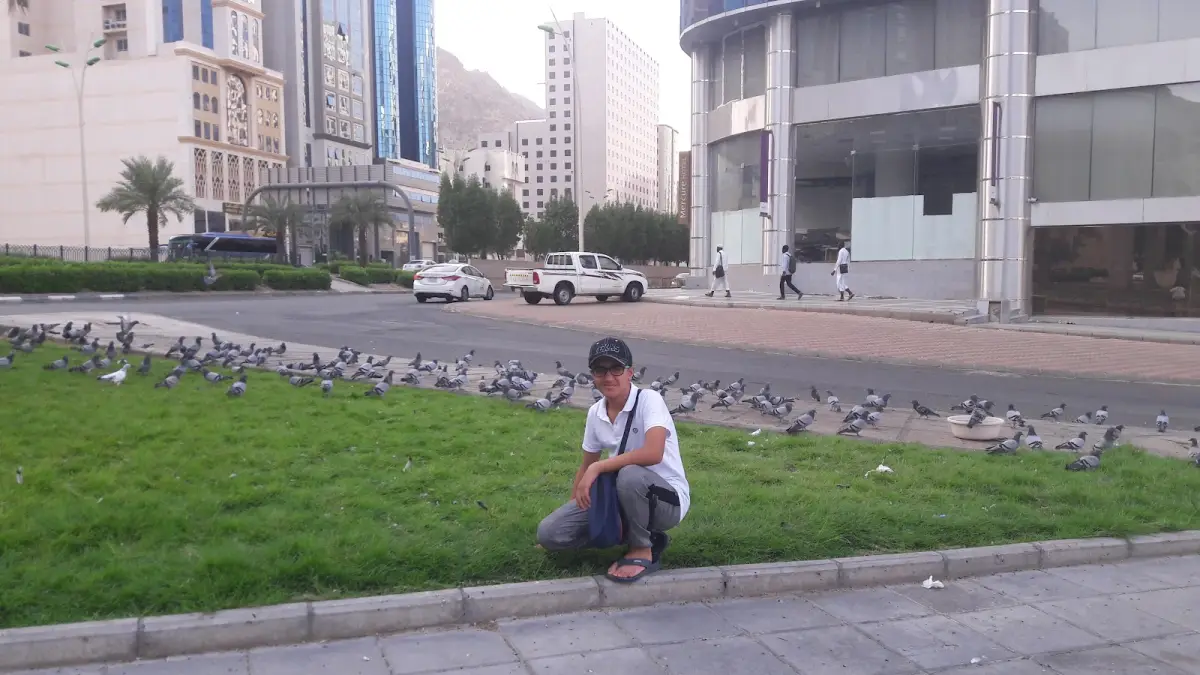 الصورة 6 من 8