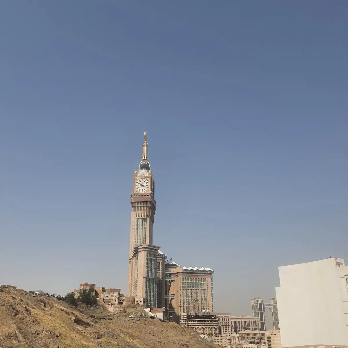 الصورة 5 من 8