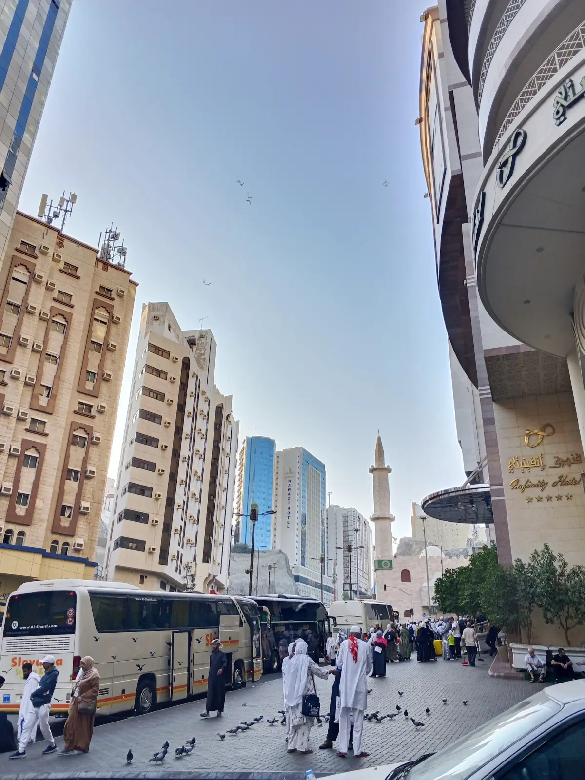 الصورة 4 من 8
