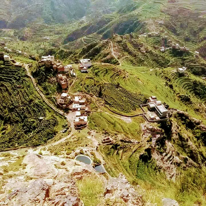 الصورة 4 من 8