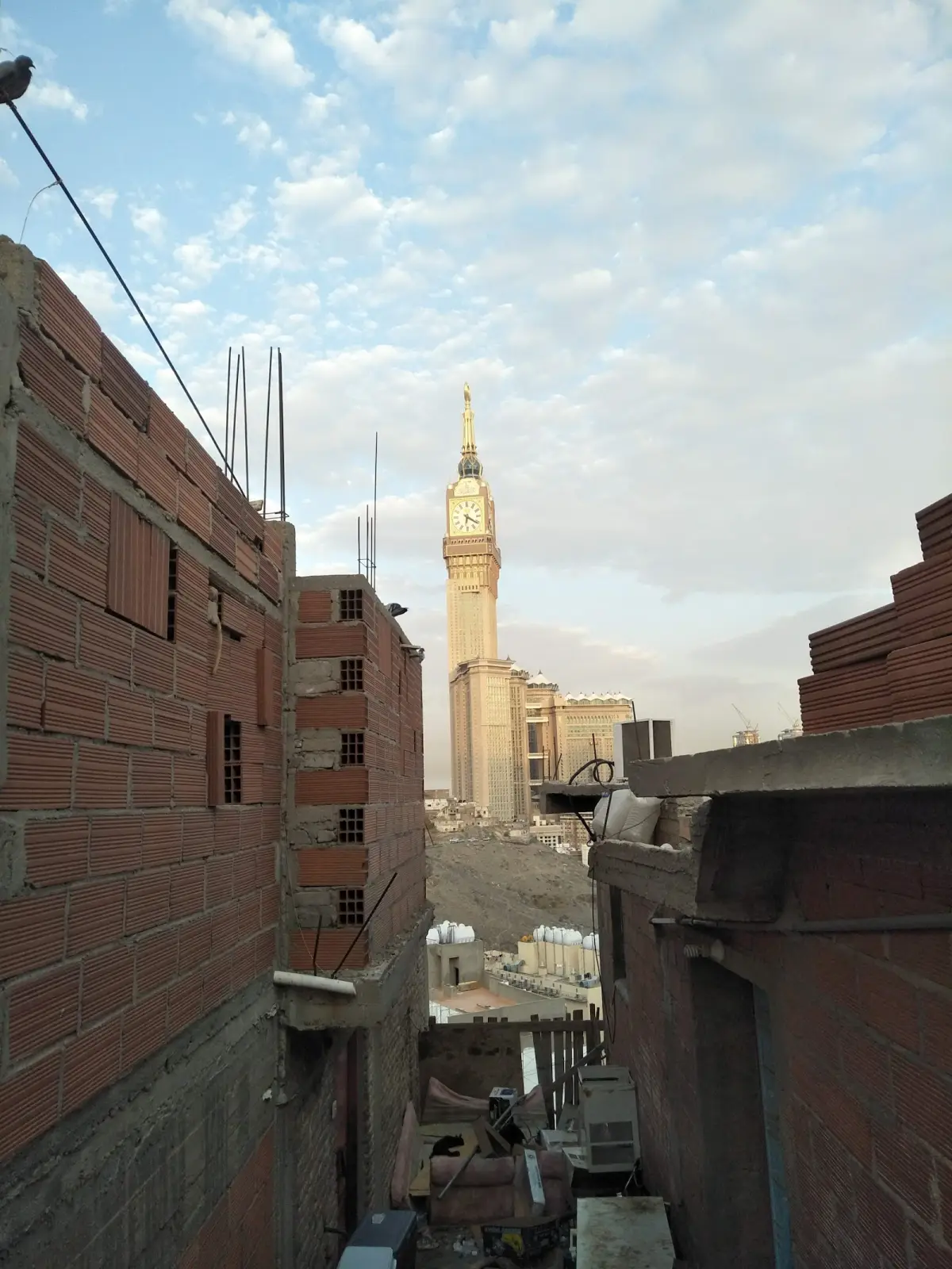الصورة 6 من 8