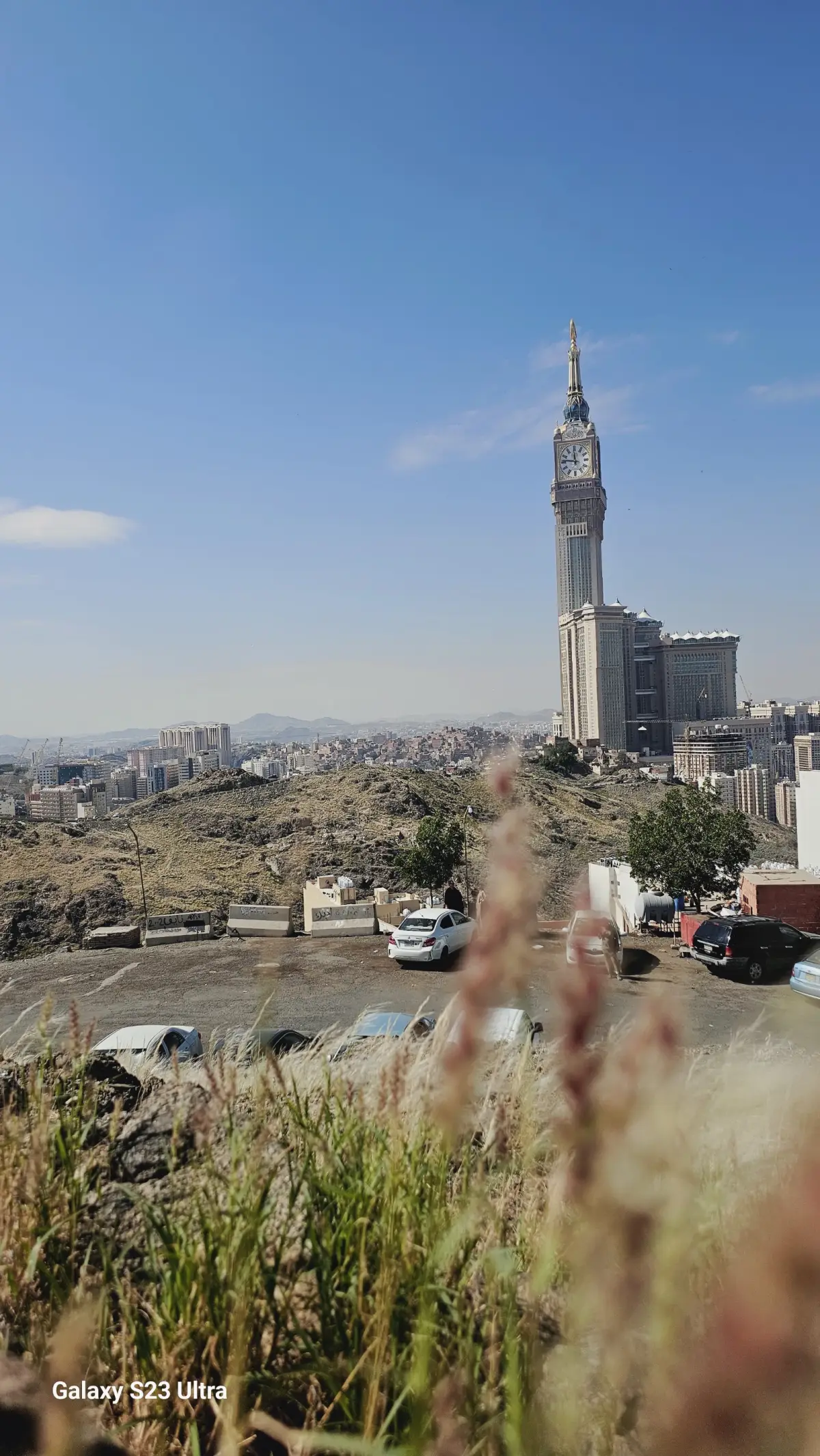 الصورة 1 من 8