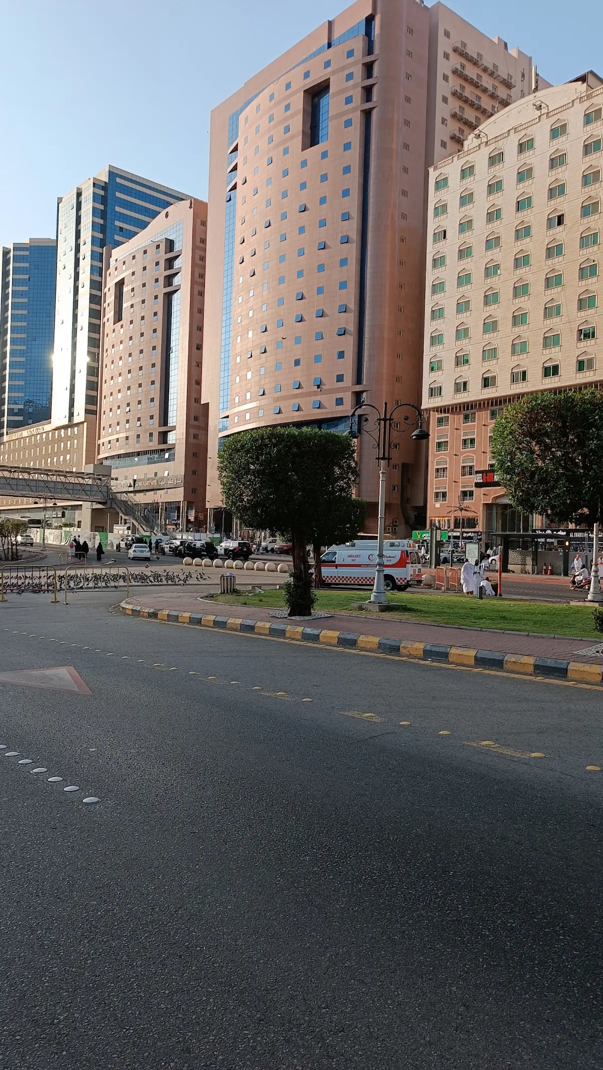 الصورة 3 من 8