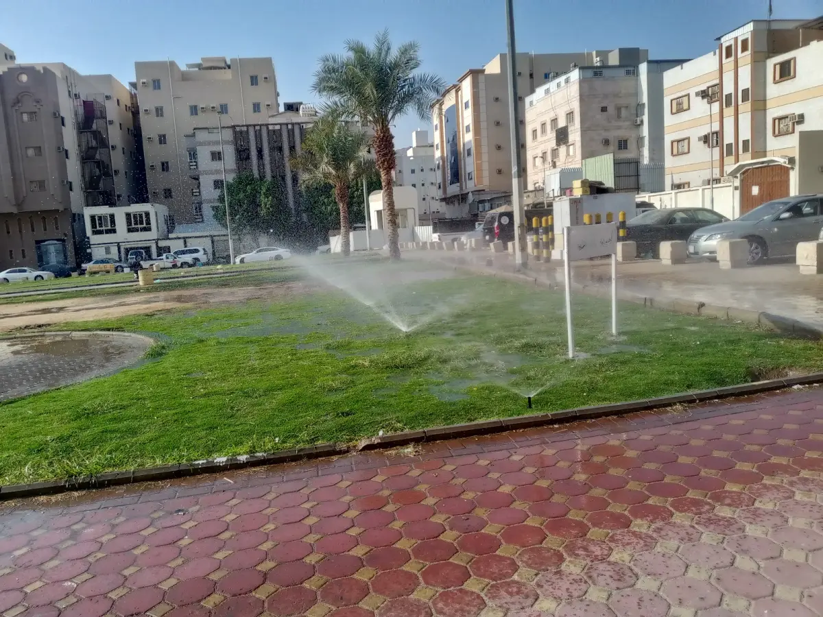 Image 1 of 8