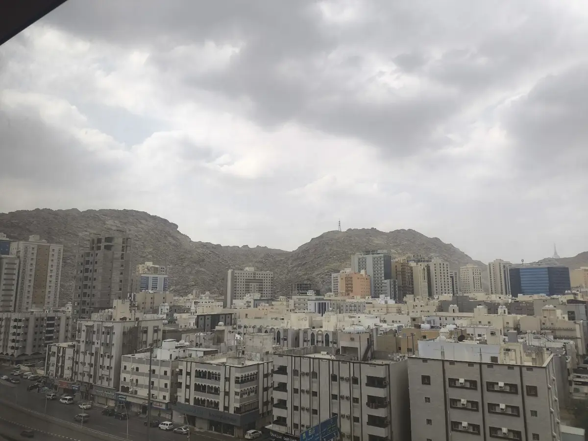 الصورة 1 من 8