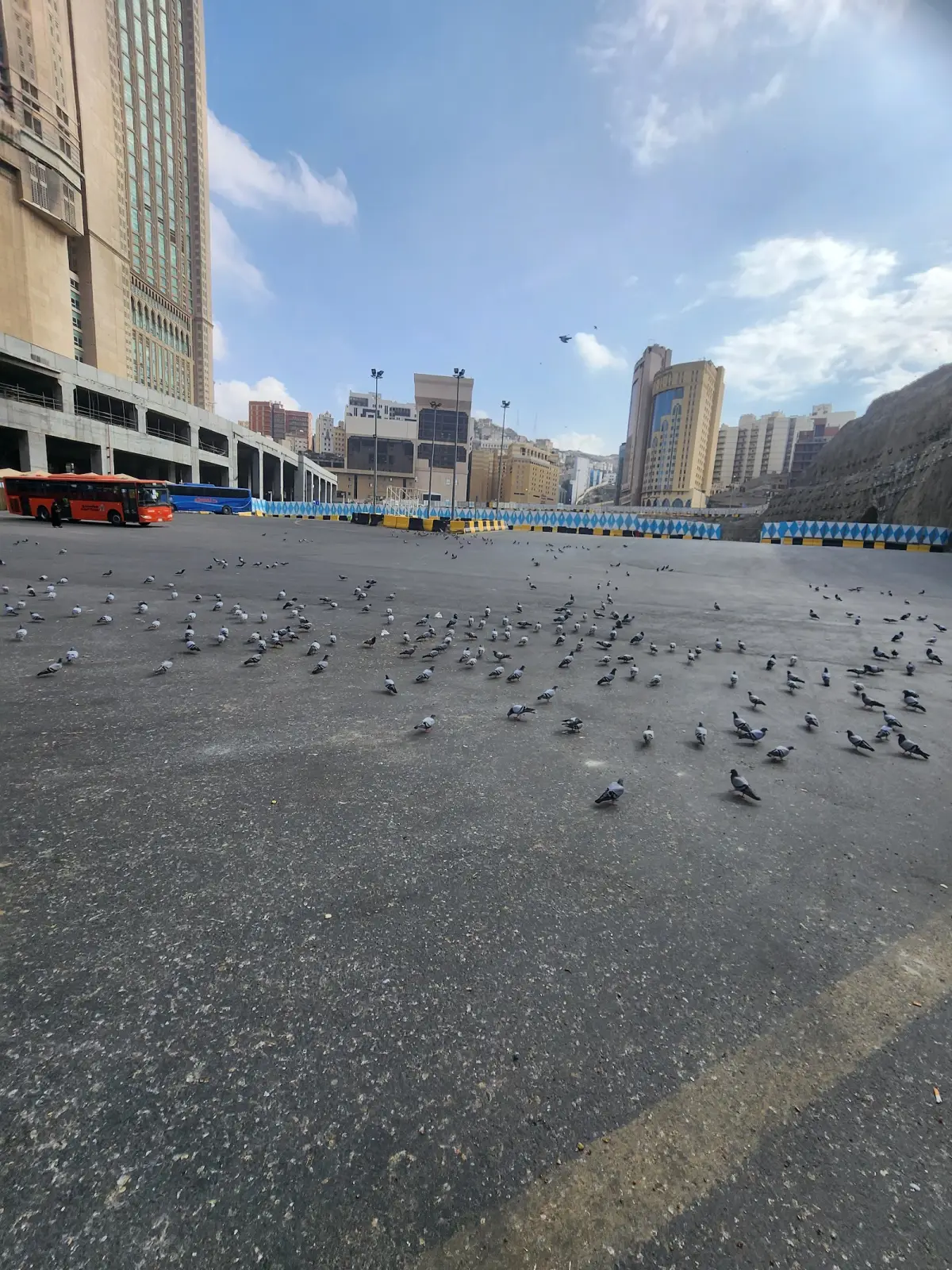 الصورة 1 من 8