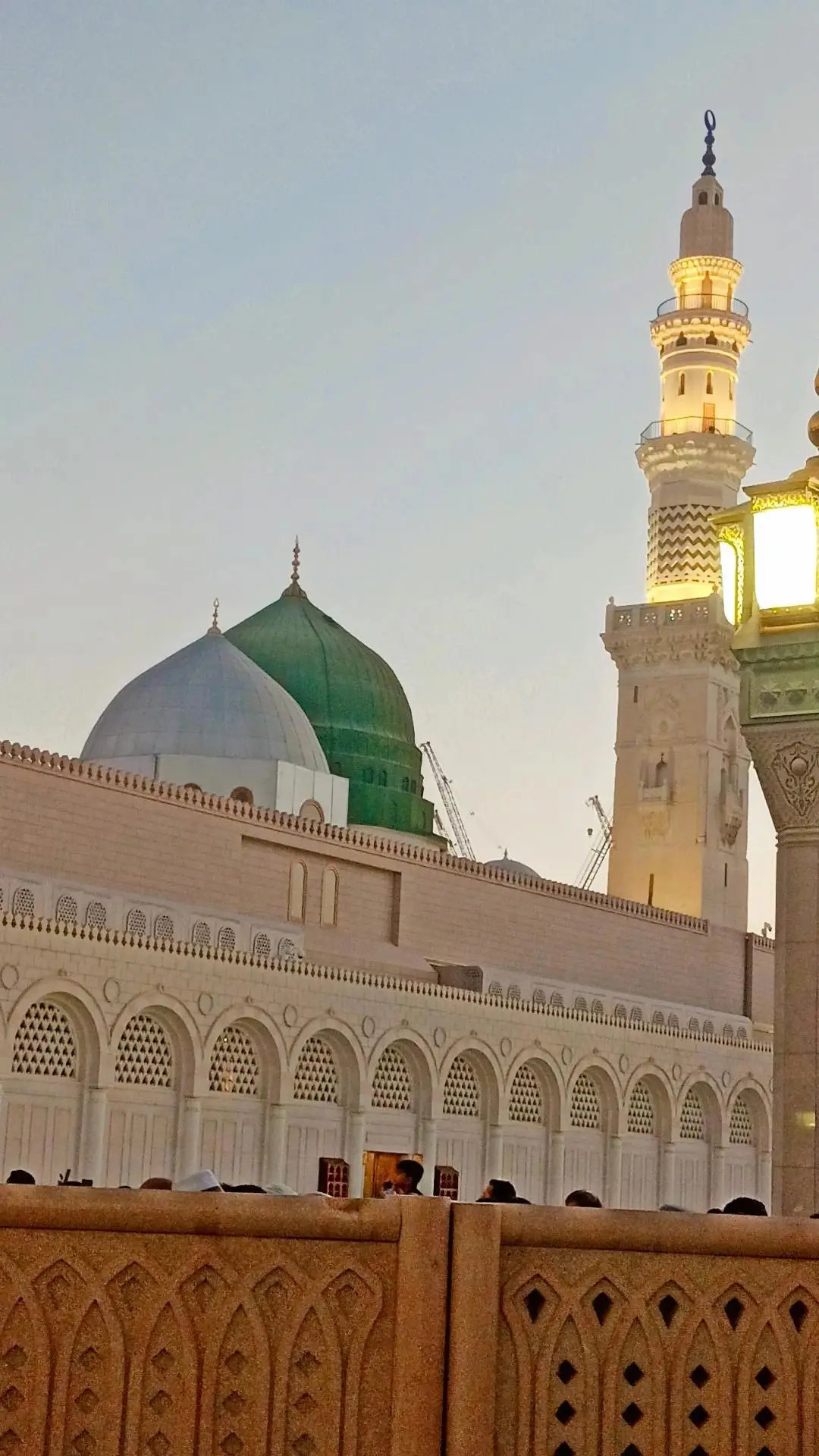 الصورة 1 من 8