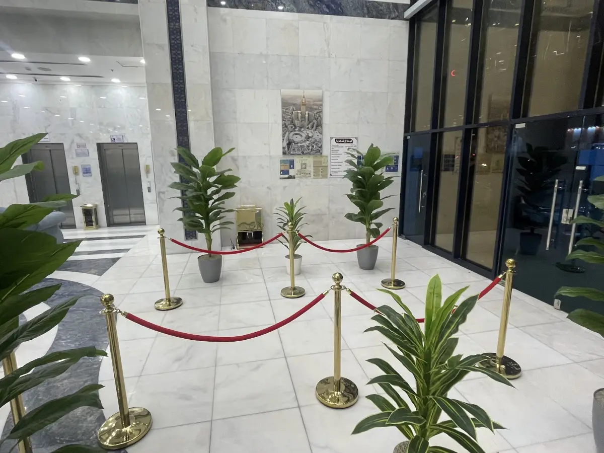 الصورة 5 من 8