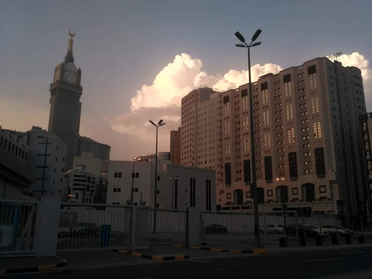 الصورة 2 من 8