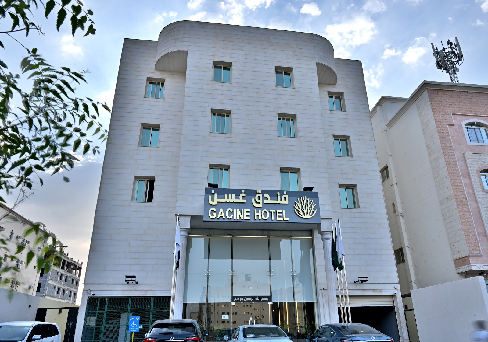 Image 4 of 8