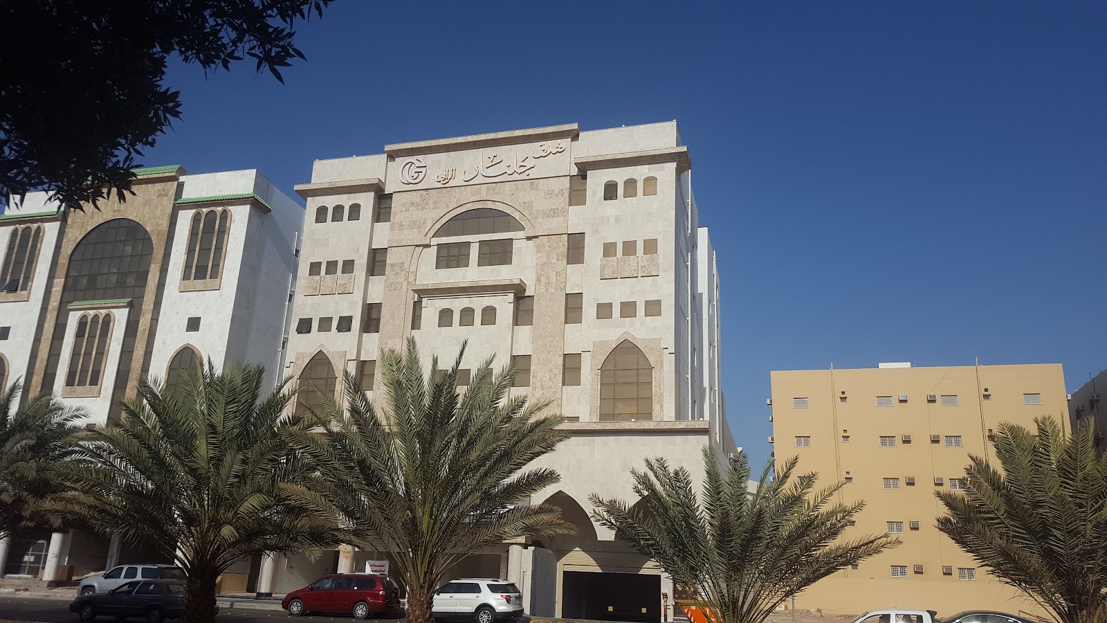 الصورة 1 من 8