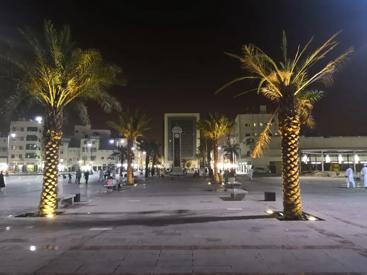 الصورة 3 من 8