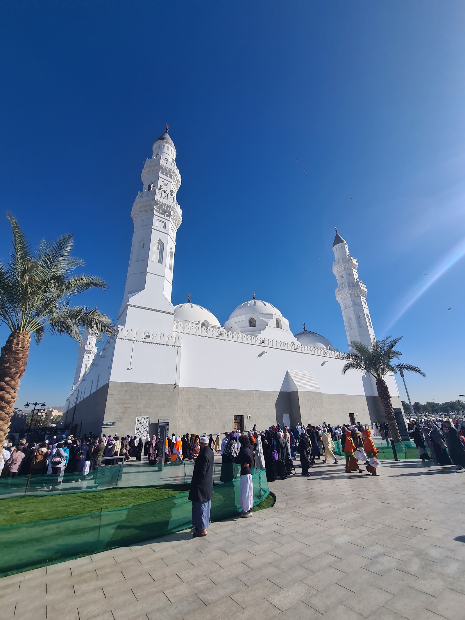 الصورة 1 من 8