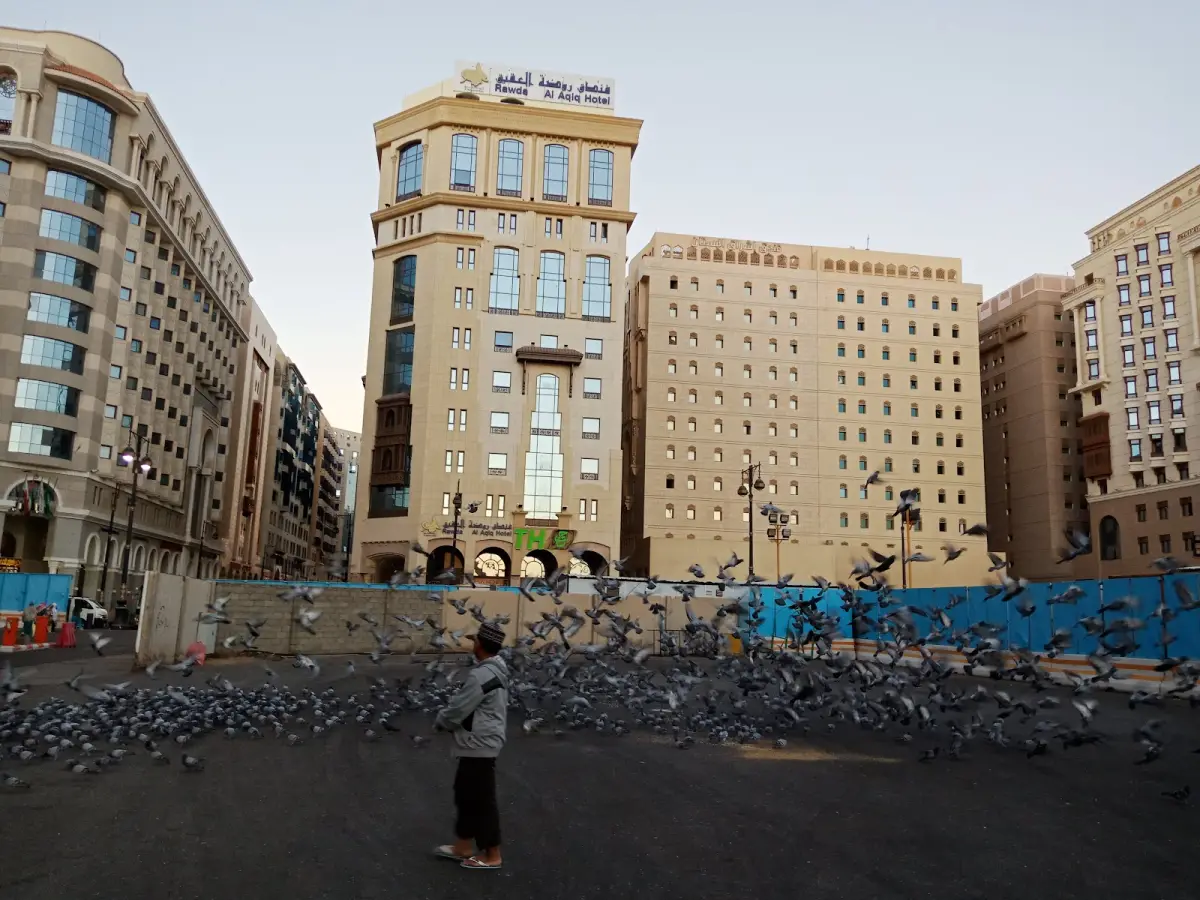 الصورة 3 من 8