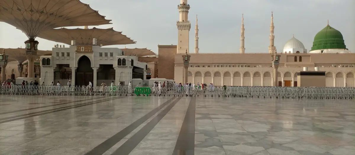 الصورة 1 من 8