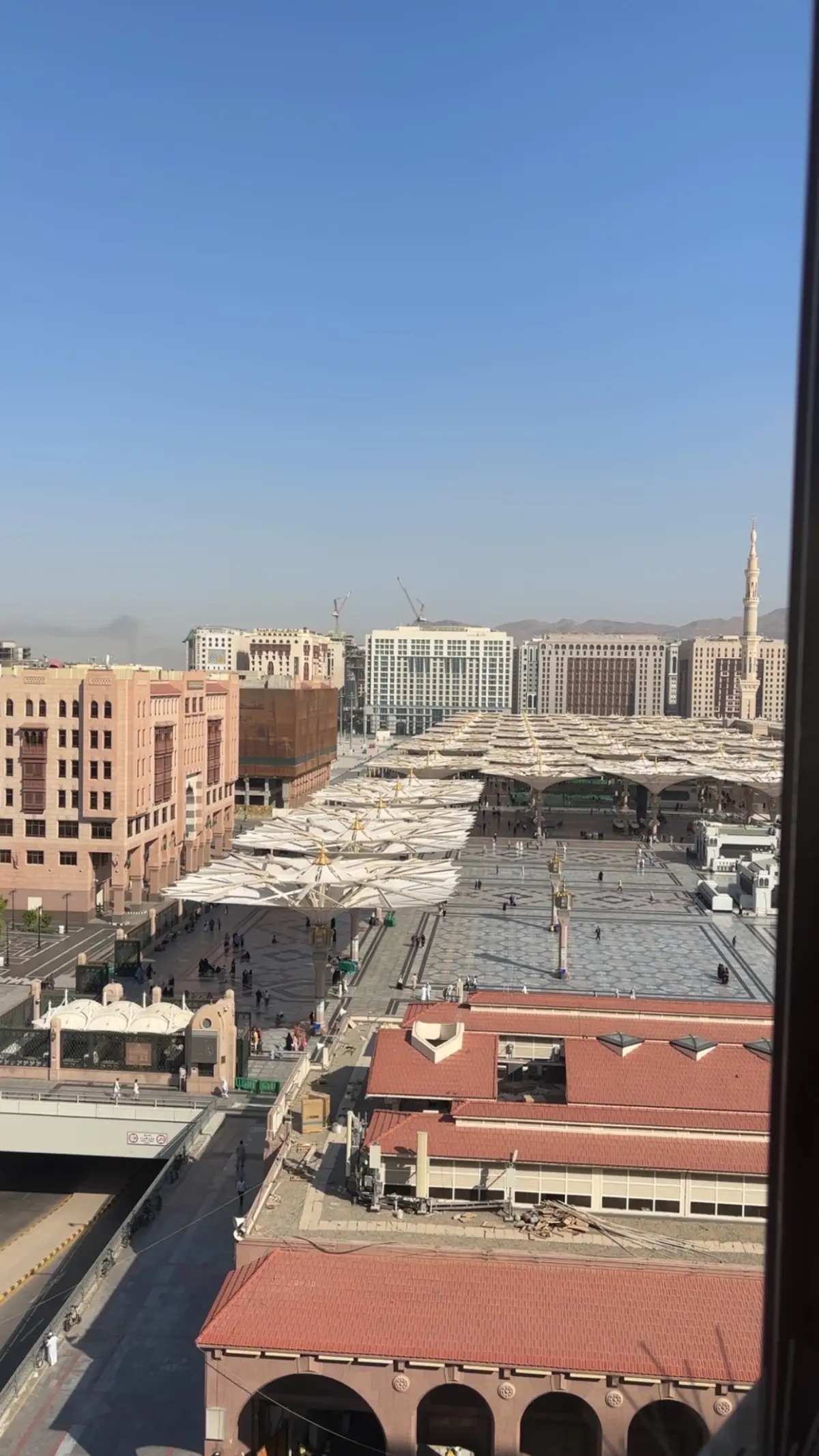 الصورة 6 من 8