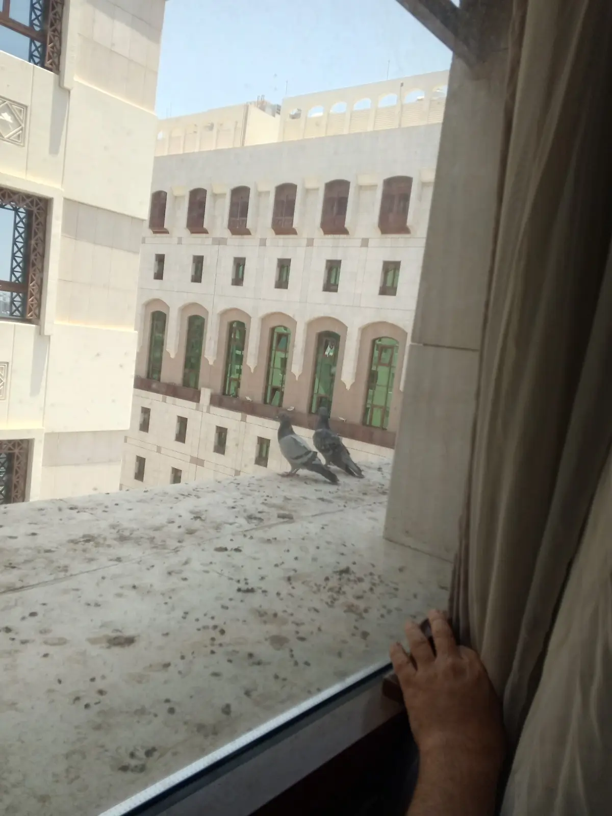 الصورة 5 من 8