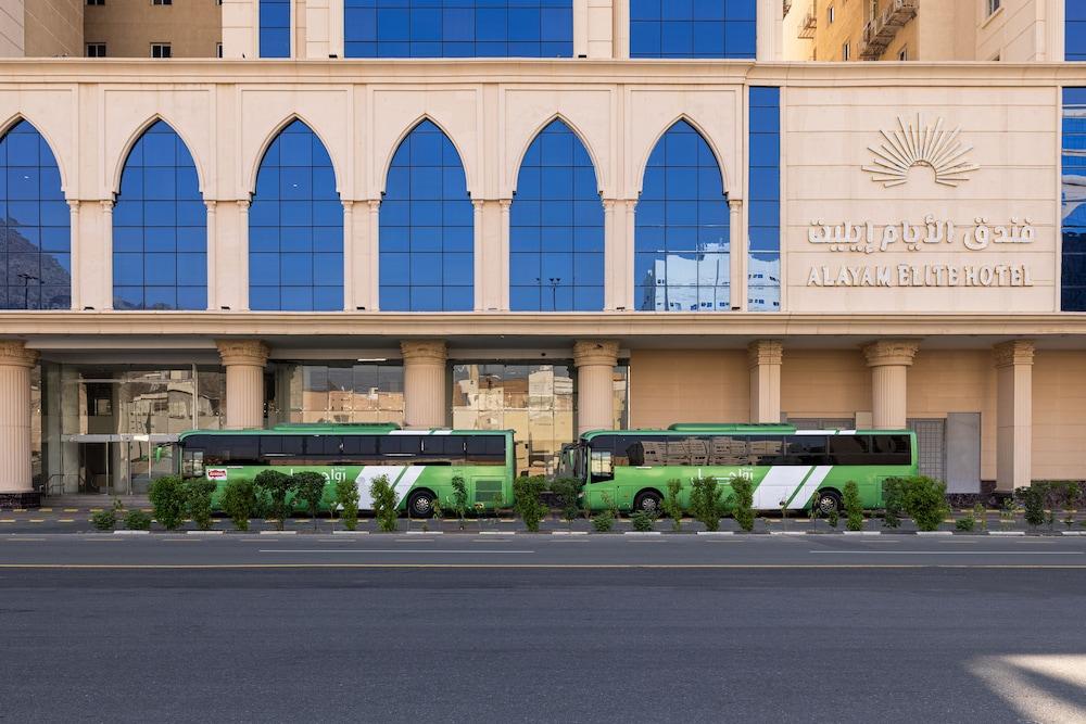 الصورة 1 من 1