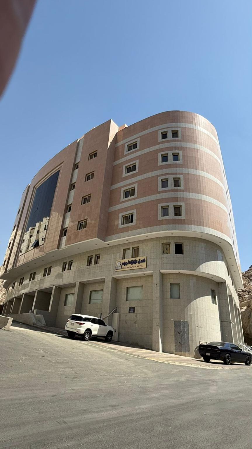 الصورة 1 من 1