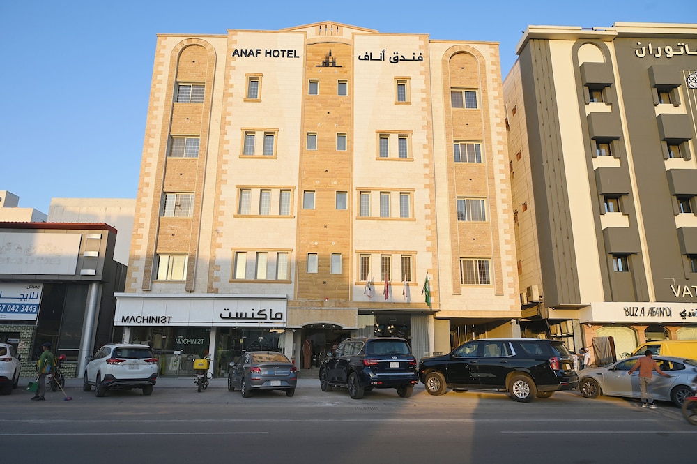 الصورة 1 من 1
