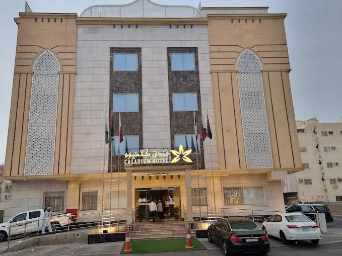 الصورة 1 من 1